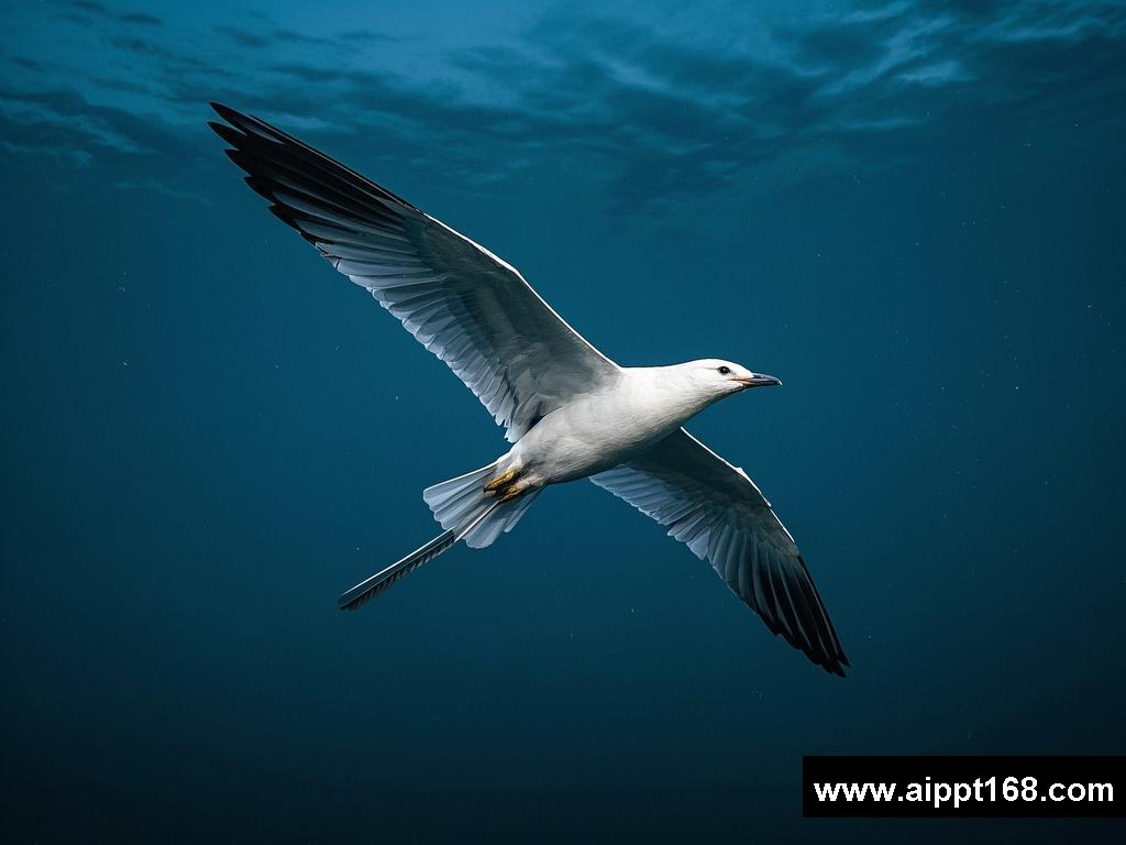 Take a Leap of Faith